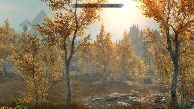 Skyrim_20161123000606.jpg